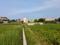 Sonargaon 2 Plot View 2