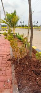 Image of 165 Sq.ft Residential Plot / Land for sale in Penamaluru, Vijayawada for Rs. 4785000