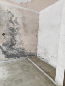 Bathroom Image of 1292 Sq.ft 2 BHK Villa for sale in Omicron II Greater Noida for Rs. 22000000