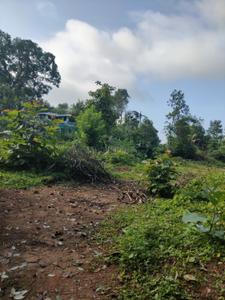 Image of 58806 Sq.ft Residential Plot / Land for sale in Thiruvalla, Pathanamthitta for Rs. 20000000