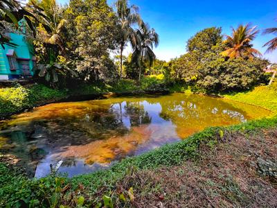 Image of 21635 Sq.ft 2 BHK Farm House for sale in Tarkeshwar, Hooghly for Rs. 18000000