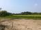 Golden city 2 Plot View 2