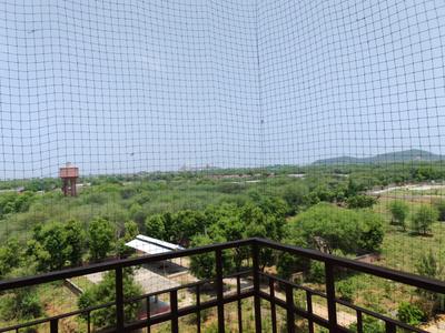 Balcony Image of 2250 Sq.ft 4 BHK Apartment / Flat for rent in Air Force Naval Jal Vayu Towers, Boytawala Jaipur for Rs. 15000