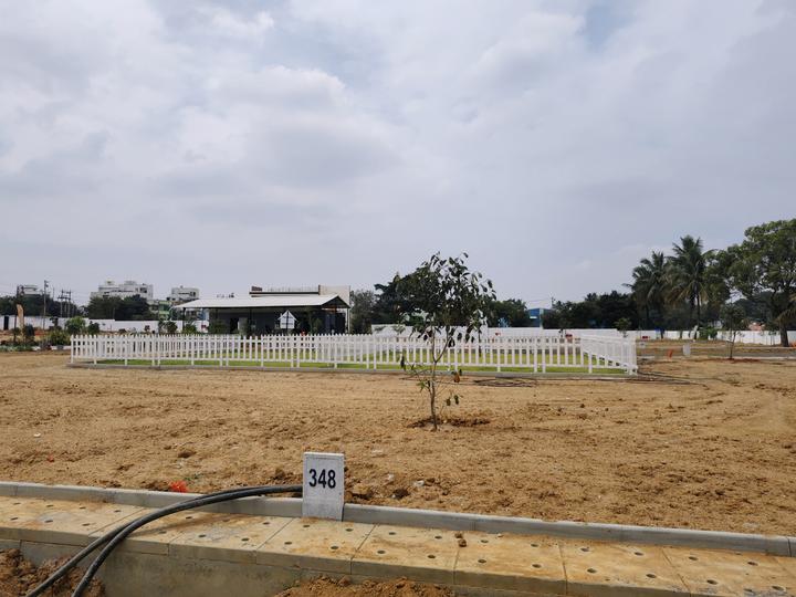 Ruby Sizzle Heritage Main Image 1