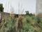 Sector 23B Dwarka Plot View 2