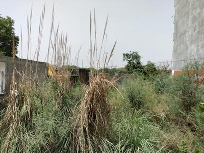 Pocket 7 Plot View 2