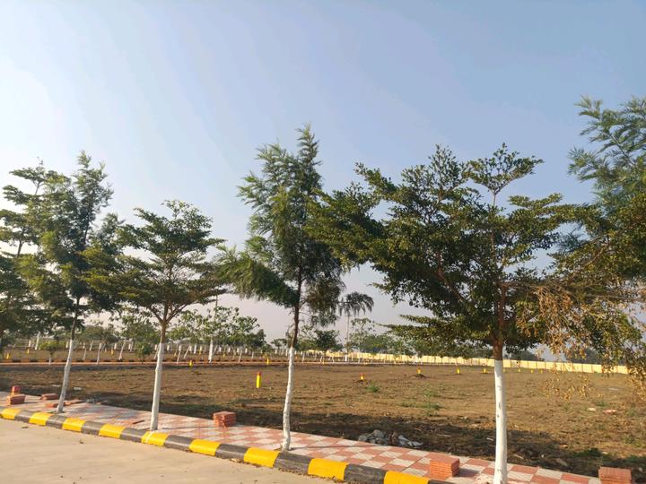 Alekhya Infiniti Counti Main Image 1