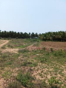 Image of 1740 Sq.ft Residential Plot / Land for sale in Pappampatti, Coimbatore for Rs. 1800000