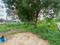 Aarohi club Plot View 2