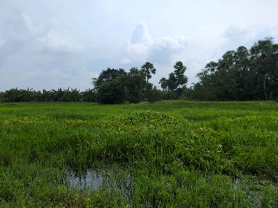 Image of 1080 Sq.ft Residential Plot / Land for sale in Joka, Kolkata for Rs. 255090