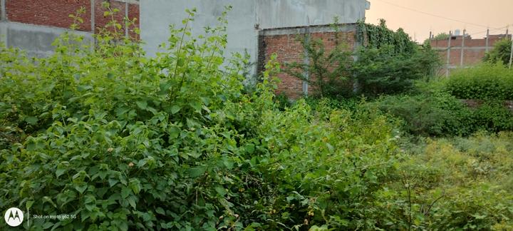 Urgent plot selling Main Image 1