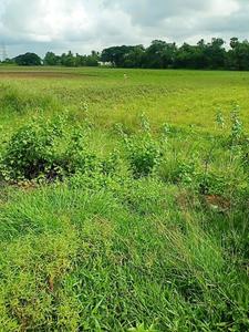 Mkd vihar Plot View 2