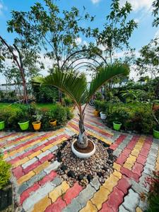 Image of 2000 Sq.ft Residential Plot / Land for sale in Malkita, Bardhaman for Rs. 2200000