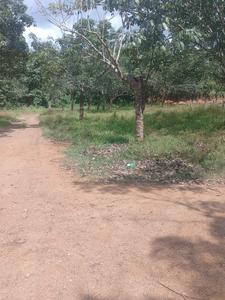 Image of 3485 Sq.ft Residential Plot / Land for sale in Kolazhy, Thrissur for Rs. 2400000
