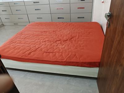 Bedroom Image of 1800 Sq.ft 3 BHK Apartment / Flat for rent in Sanpada Navi Mumbai for Rs. 70000