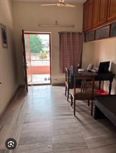 Hall Image of 1250 Sq.ft 3 BHK Independent House for rent in Pritam Nagar Allahabad for Rs. 12000