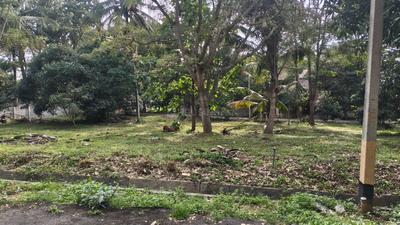 Residential Plot