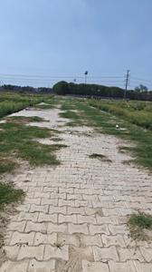 Image of 1350 Sq.ft Residential Plot / Land for sale in Knowledge Park 3, Greater Noida for Rs. 5700000