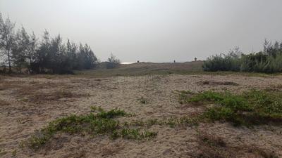 Image of 93108 Sq.ft 4 BHK Farm House for sale in Morjim, Goa for Rs. 1100000000