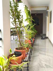 Balcony Image of 1750 Sq.ft 3 BHK Apartment / Flat for sale in Kalyan Nagar Bengaluru for Rs. 11500000