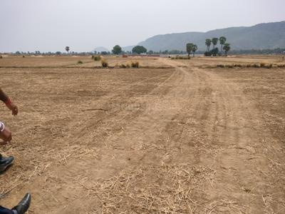 Image of 1200 Sq.ft Residential Plot / Land for sale in Rajgir, Nalanda for Rs. 906000
