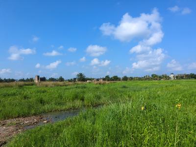 Image of 720 Sq.ft Residential Plot / Land for sale in Wander Valley, Joka, Kolkata for Rs. 270009