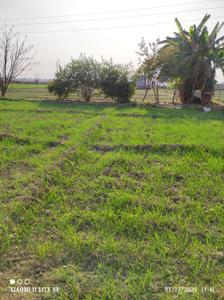 Image of 15525 Sq.ft Residential Plot / Land for sale in Kursauli, Kanpur for Rs. 3800000
