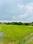 Namkum Plot View 2