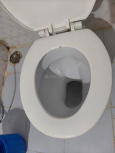 Bathroom Image of 1101 Sq.ft 2 BHK Apartment / Flat for rent in Sharada Spandan, Warje Pune for Rs. 26000