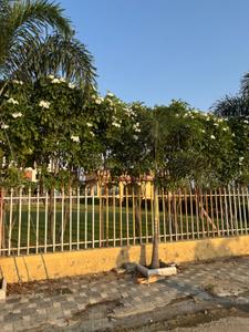 Image of 3000 Sq.ft 4.5 BHK Independent House for sale in Platinum Green City, Omex City, Indore for Rs. 22500000