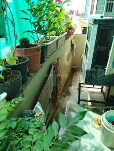 Balcony Image of 1800 Sq.ft 3 BHK Builder Floor for rent in Civil Lines Jaipur for Rs. 50000