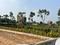 Sector 76 Plot View 2