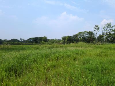 Image of 2880 Sq.ft Residential Plot / Land for sale in Nest Valley, Joka, Kolkata for Rs. 600500