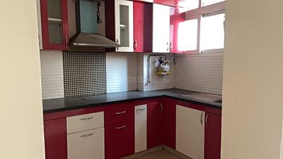 Kitchen Image of 955 Sq.ft 2.5 BHK Builder Floor for rent in Nirala Estate, Noida Extension Greater Noida for Rs. 20000