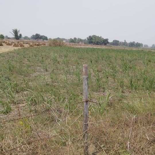 Ashapur Village Main Image 1