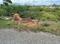 Challakere Main Image 1