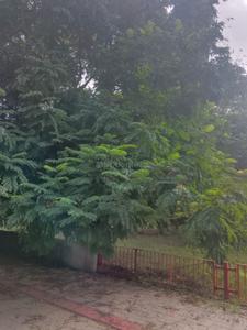 Image of 600 Sq.ft Residential Plot / Land for sale in Bakeri Serenity Pastures, Lakshmanpura, Ahmedabad for Rs. 4200000