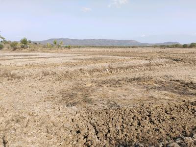 Residential Plot