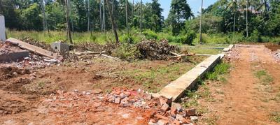 Mannuthy Plot View 3