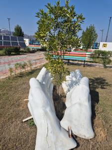 Image of 1375 Sq.ft Residential Plot / Land for sale in Prahladpura, Jaipur for Rs. 4980000