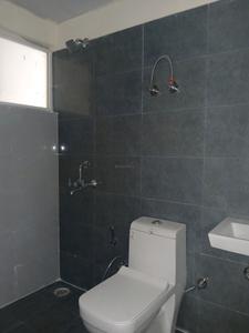 Common Bathroom Image of 745 Sq.ft 2 BHK Apartment / Flat for sale in GLS Avenue 81, Sector 81 Gurgaon for Rs. 7500000