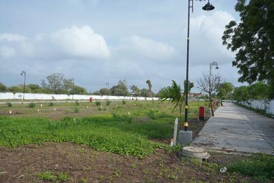 Vadner Dumala Plot View 2