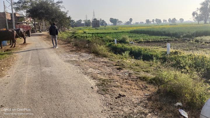 Sampatchak Main Image 1