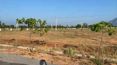 Image of 1800 Sq.ft Residential Plot / Land for sale in Yerpudu, Tirupathi for Rs. 2500000