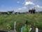 Chettipunyam Plot View 2