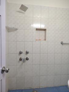 Common Bathroom Image of 1200 Sq.ft 3 BHK Apartment / Flat for rent in Vasant Kunj New Delhi for Rs. 75000