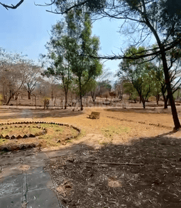 Pirangut Plot View 2