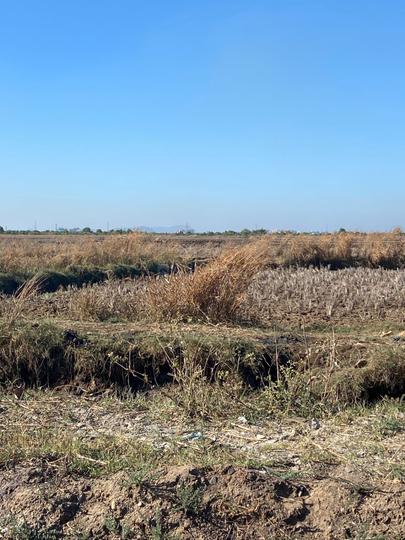 Mahamumbai Plots In Sarde Main Image 1