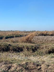 Image of 1089 Sq.ft Residential Plot / Land for sale in Mahamumbai Plots In Pirkon, Pirkone, Navi Mumbai for Rs. 411000