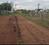 Thirumangalam Plot View 2